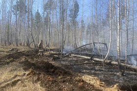 За сутки в Иркутской области потушили лесные пожары на площади 86 гектаров