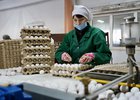 Фото пресс-службы правительства Иркутской области