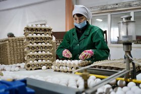 Фото пресс-службы правительства Иркутской области