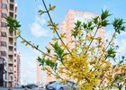 Фото Маргариты Романовой, IRK.ru