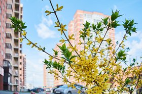 Фото Маргариты Романовой, IRK.ru