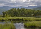 Таловские озера. Фото пресс-службы правительства Иркутской области