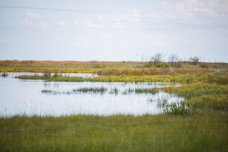 Таловские озера. Фото пресс-службы правительства Иркутской области