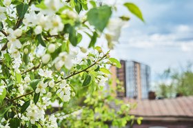 Фото Маргариты Романовой, IRK.ru