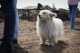 Фото с сайта правительства Иркутской области