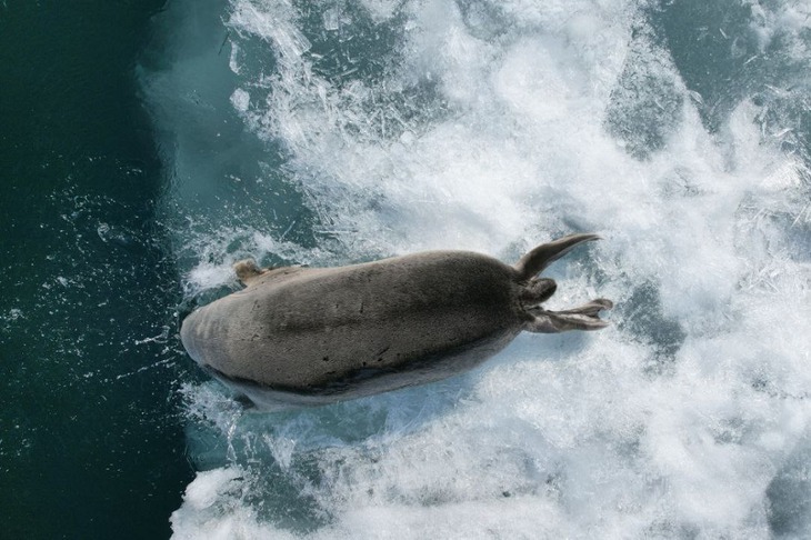 Фото с сайта Байкальского музея СО РАН