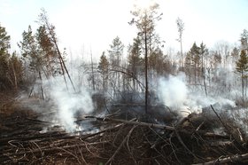 Фото пресс-службы правительства региона
