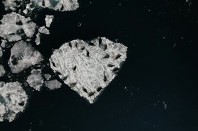 Фото с сайта Байкальского музея СО РАН