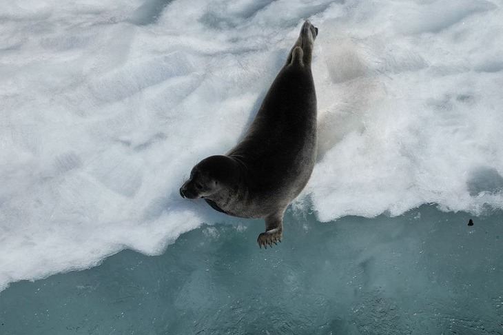 Фото с сайта Байкальского музея СО РАН