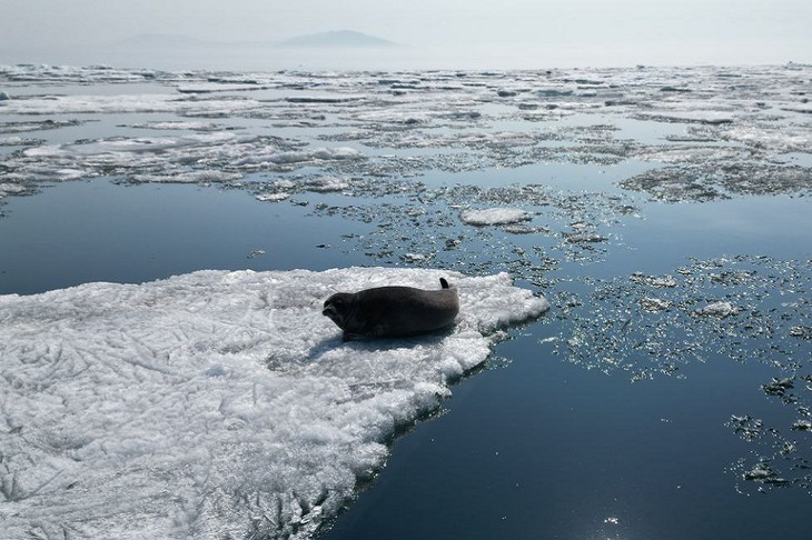 Фото с сайта Байкальского музея СО РАН