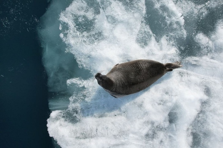 Фото с сайта Байкальского музея СО РАН