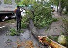Фото пресс-службы администрации Иркутска