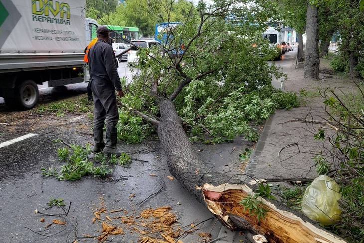 Фото пресс-службы администрации Иркутска