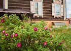 Лето в Иркутске. Фото Маргариты Романовой, IRK.ru