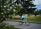 Фото Маргариты Романовой, IRK.ru