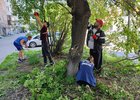 Обрезка деревьев. Фото пресс-службы администрации Иркутска