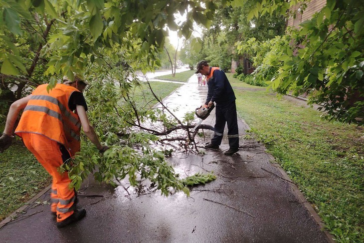 Фото пресс-службы администрации Иркутска