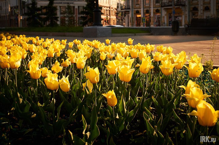 Фото Маргариты Романовой из архива IRK.ru