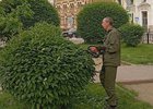 Обрезка деревьев. Фото пресс-службы администрации Иркутска