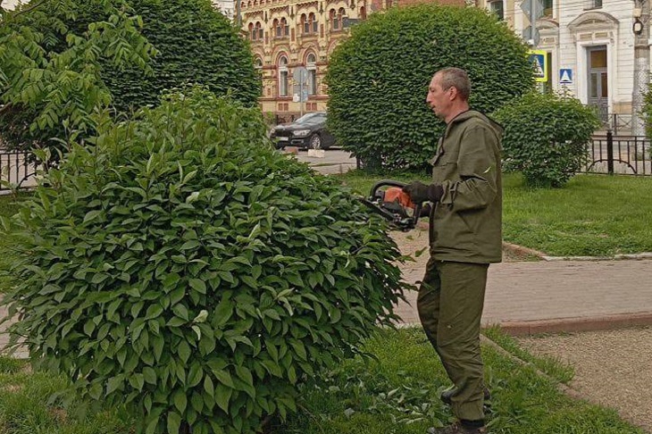Обрезка деревьев. Фото пресс-службы администрации Иркутска