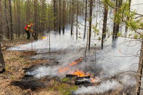 Тушение лесного пожара. Фото пресс-службы правительства Иркутской области