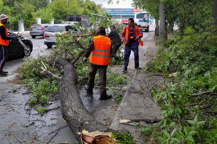 Фото пресс-службы администрации Иркутска