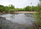 Берег реки Ушаковки. Фото Маргариты Романовой, IRK.ru