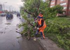 Фото пресс-службы администрации Иркутска