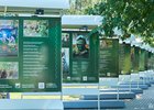 Выставка. Фото Маргариты Романовой, IRK.ru