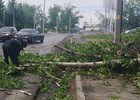 Фото пресс-службы администрации Иркутска