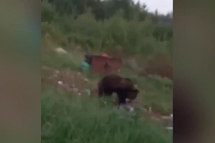 Скриншот видео очевидца