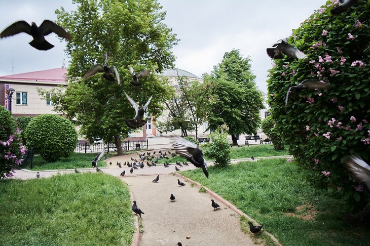 Фото из архива IRK.ru