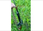 Изъятое оружие. Фото пресс-службы «Заповедного Прибайкалья»