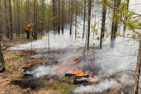 Тушение лесного пожара. Фото пресс-службы правительства Иркутской области