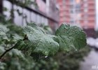 Фото Маргариты Романовой, IRK.ru Фото Маргариты Романовой, IRK.ru
