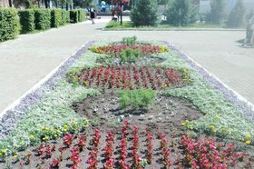 Фото пресс-службы администрации Иркутска