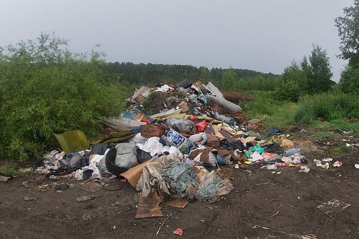 Свалка. Фото из телеграм-канала «Вести-Иркутск»
