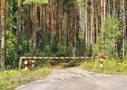 Лес. Фото пресс-службы правительства региона