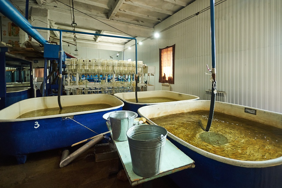 Проточная вода — важное условие для содержание молоди