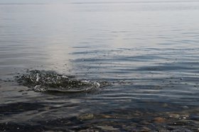 Брызги на воде. Фото Марины Палеевой, IRK.ru
