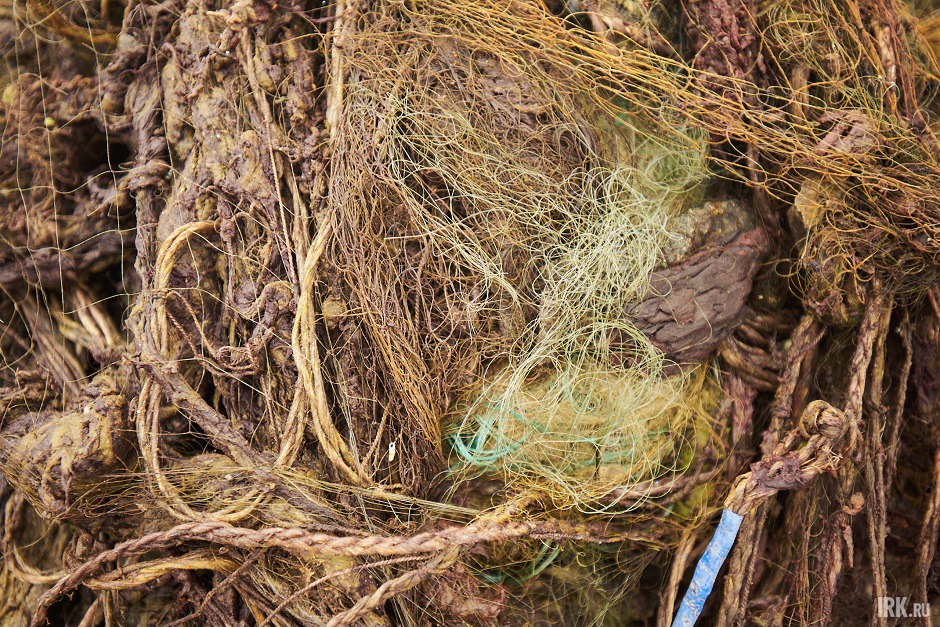 Поднятые сети отвратительно пахнут