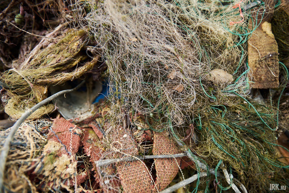 Сети служат средой для размножения бактерий
