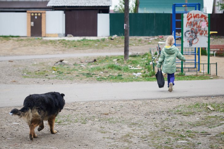 Фото Маргариты Романовой, IRK.ru