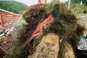 Общая протяженность поднятых сетей — более четырех километров