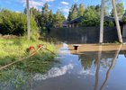 СНТ «Сосновое». Фото предоставлено местными жителями