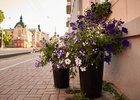 Иркутск летом. Фото Маргариты Романовой, IRK.ru