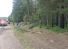 ДТП. Фото из телеграм-канала БПСО