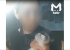 Скриншот видео из телеграм-канала «Babr Mash»