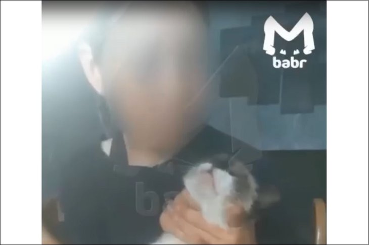 Скриншот видео из телеграм-канала «Babr Mash»