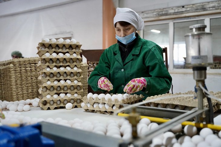 Производство птицеводческой продукции. Фото пресс-службы правительства Иркутской области